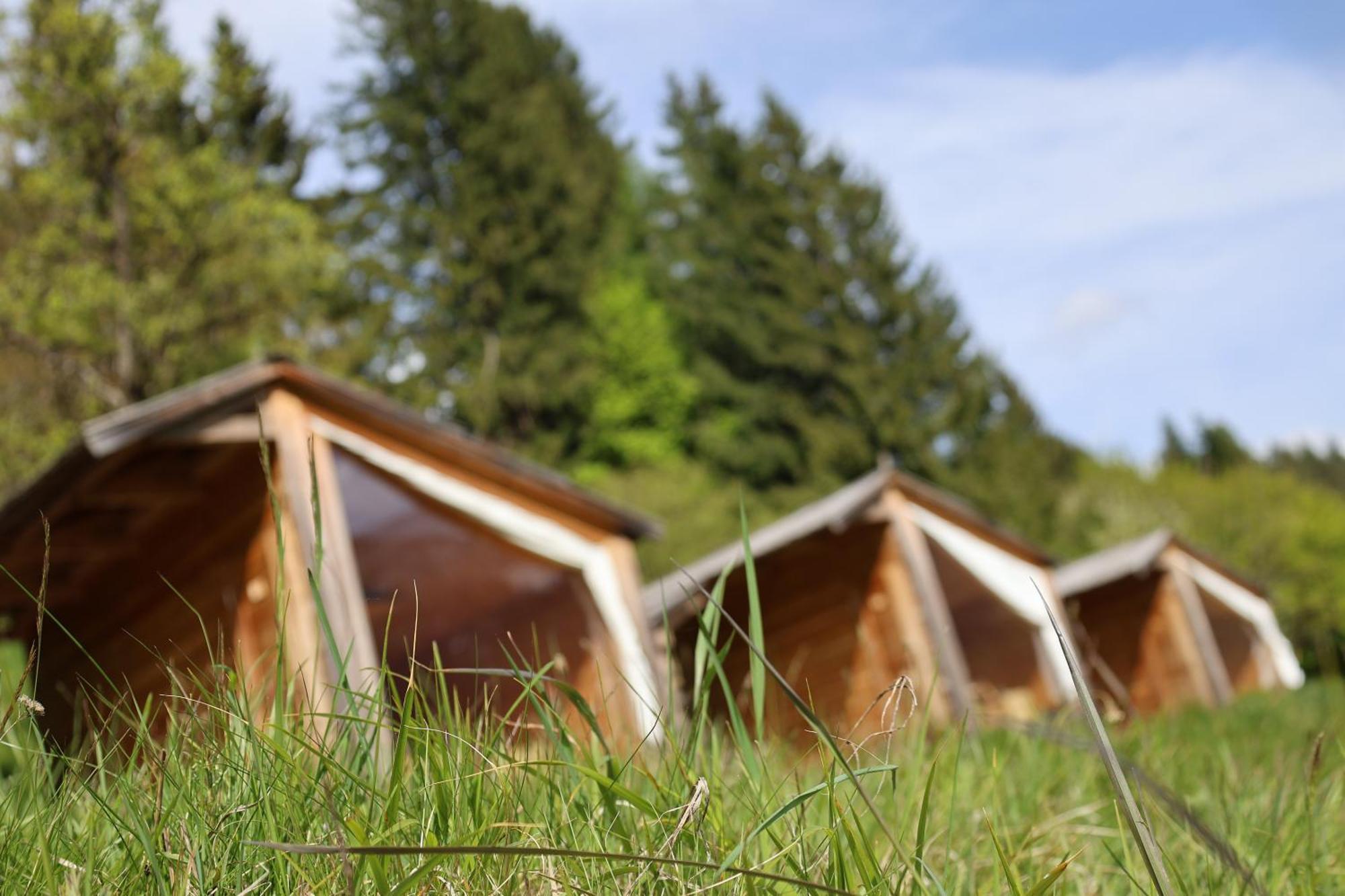 הוילה Dovje Mountain View Glamping מראה חיצוני תמונה