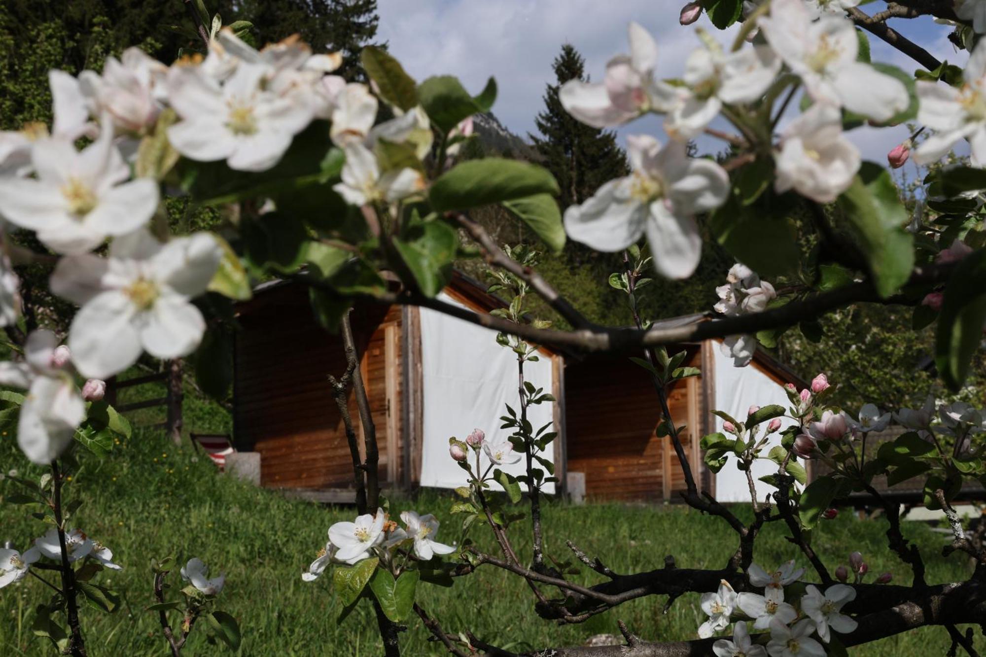 הוילה Dovje Mountain View Glamping מראה חיצוני תמונה