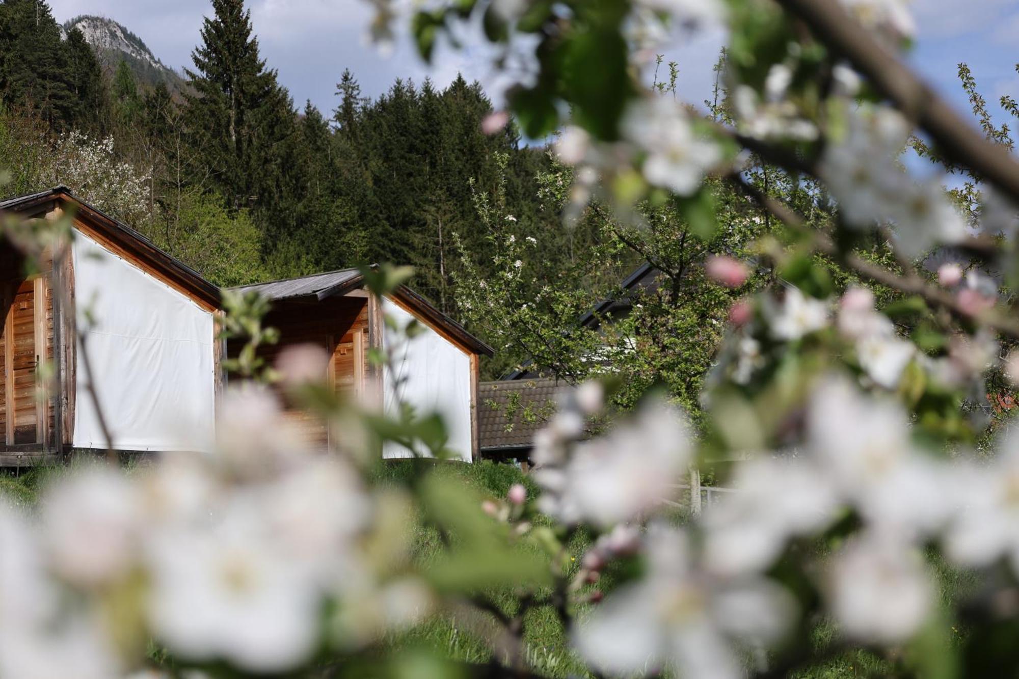 הוילה Dovje Mountain View Glamping מראה חיצוני תמונה