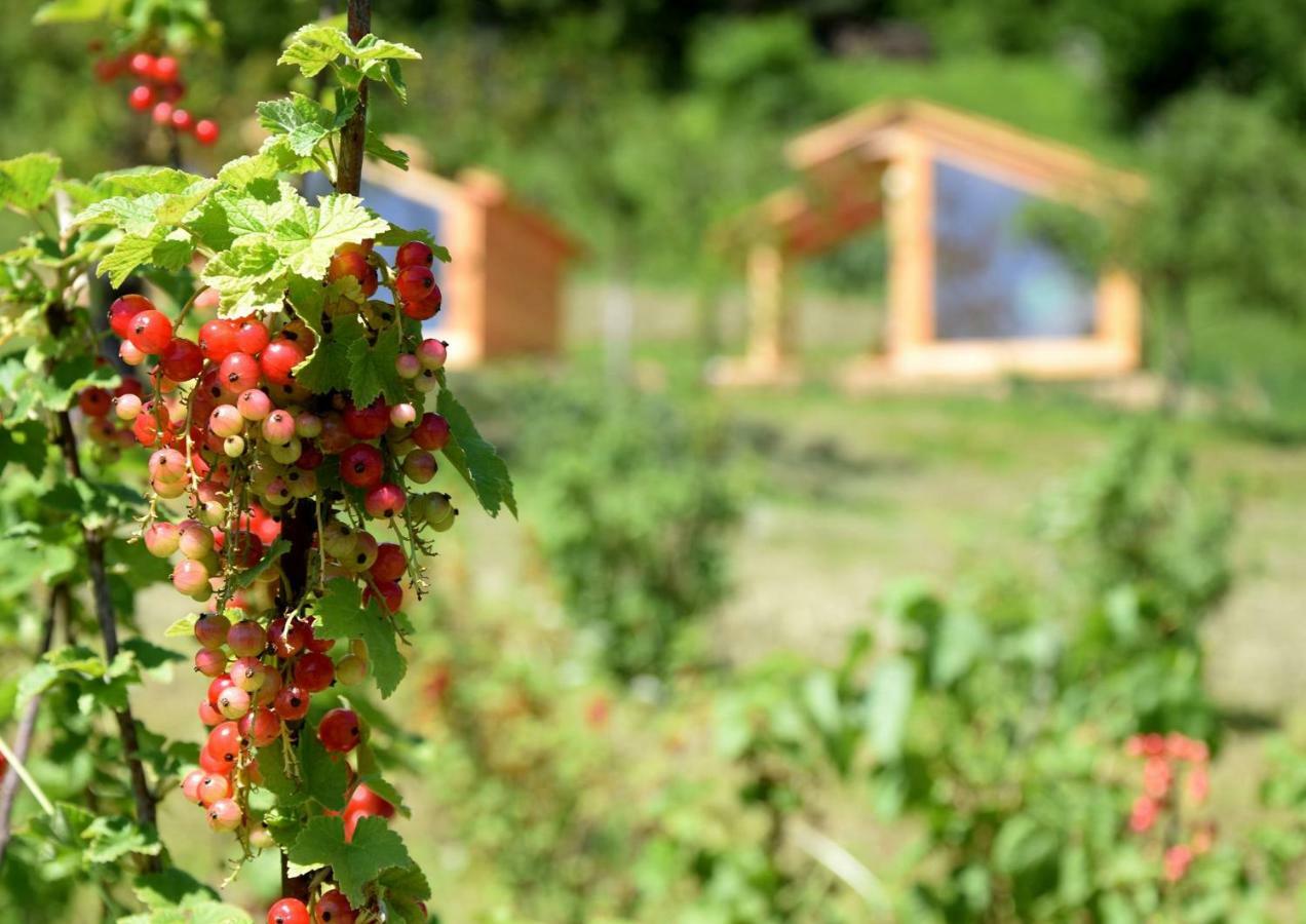 הוילה Dovje Mountain View Glamping מראה חיצוני תמונה