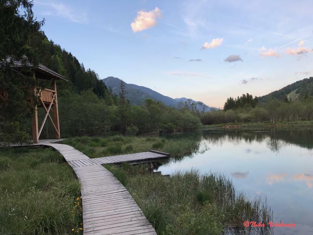 הוילה Dovje Mountain View Glamping מראה חיצוני תמונה