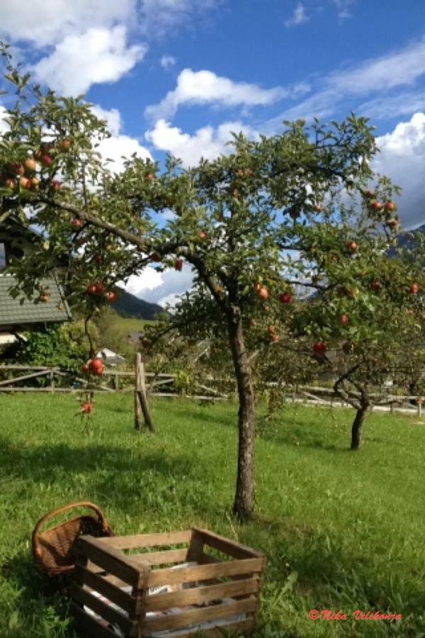 הוילה Dovje Mountain View Glamping מראה חיצוני תמונה